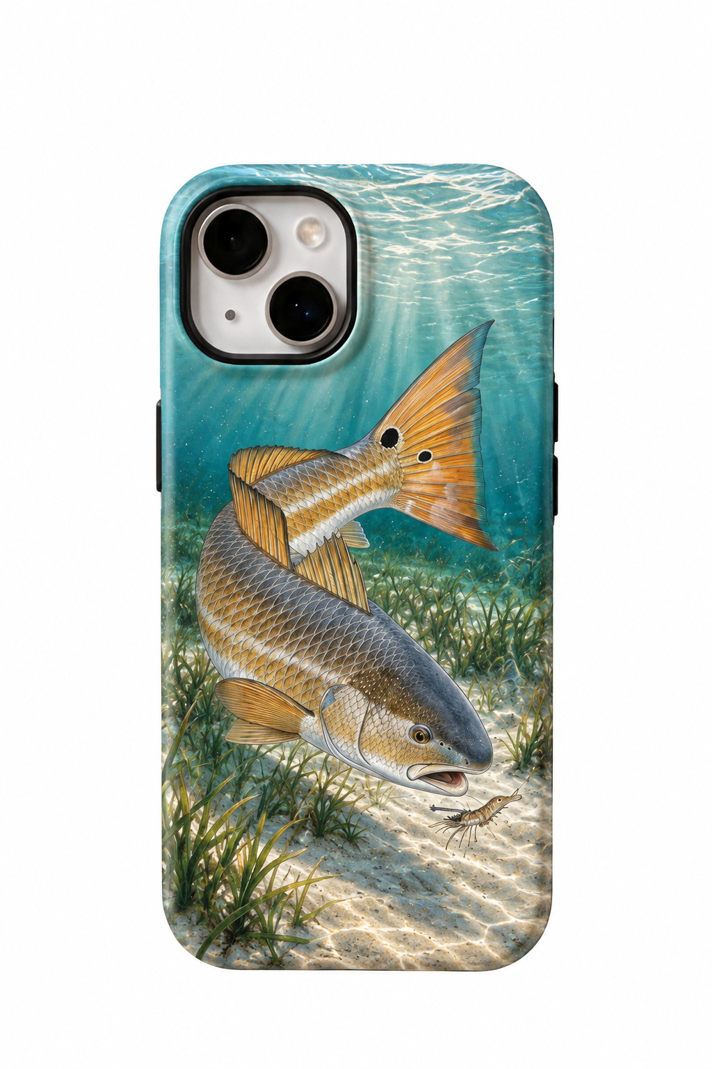 TPC286V_1