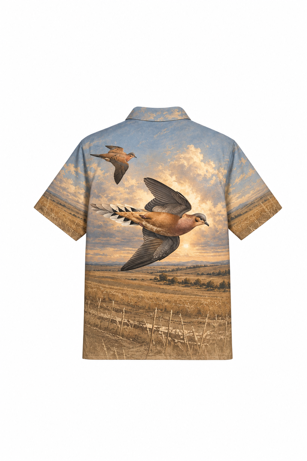 SSS416K back