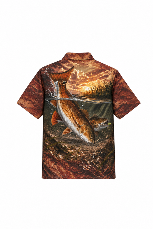 SSS492K back