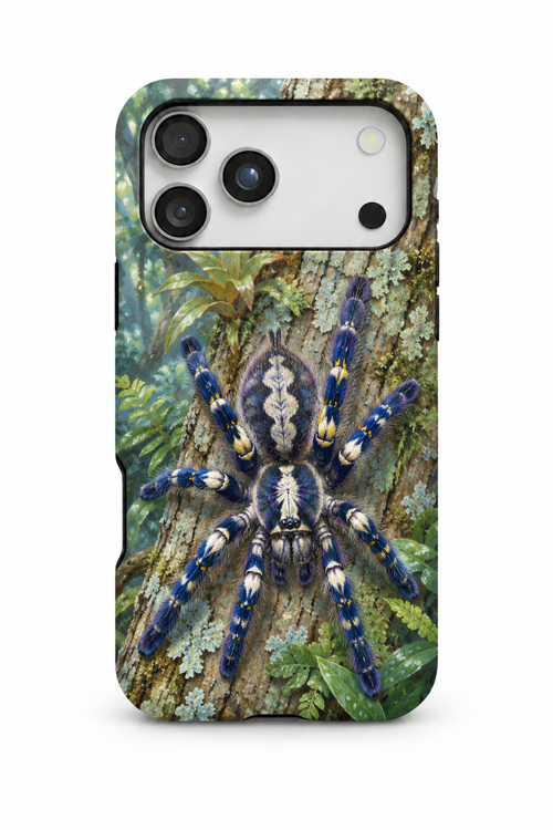 Gooty Sapphire Ornamental - TPC003TR