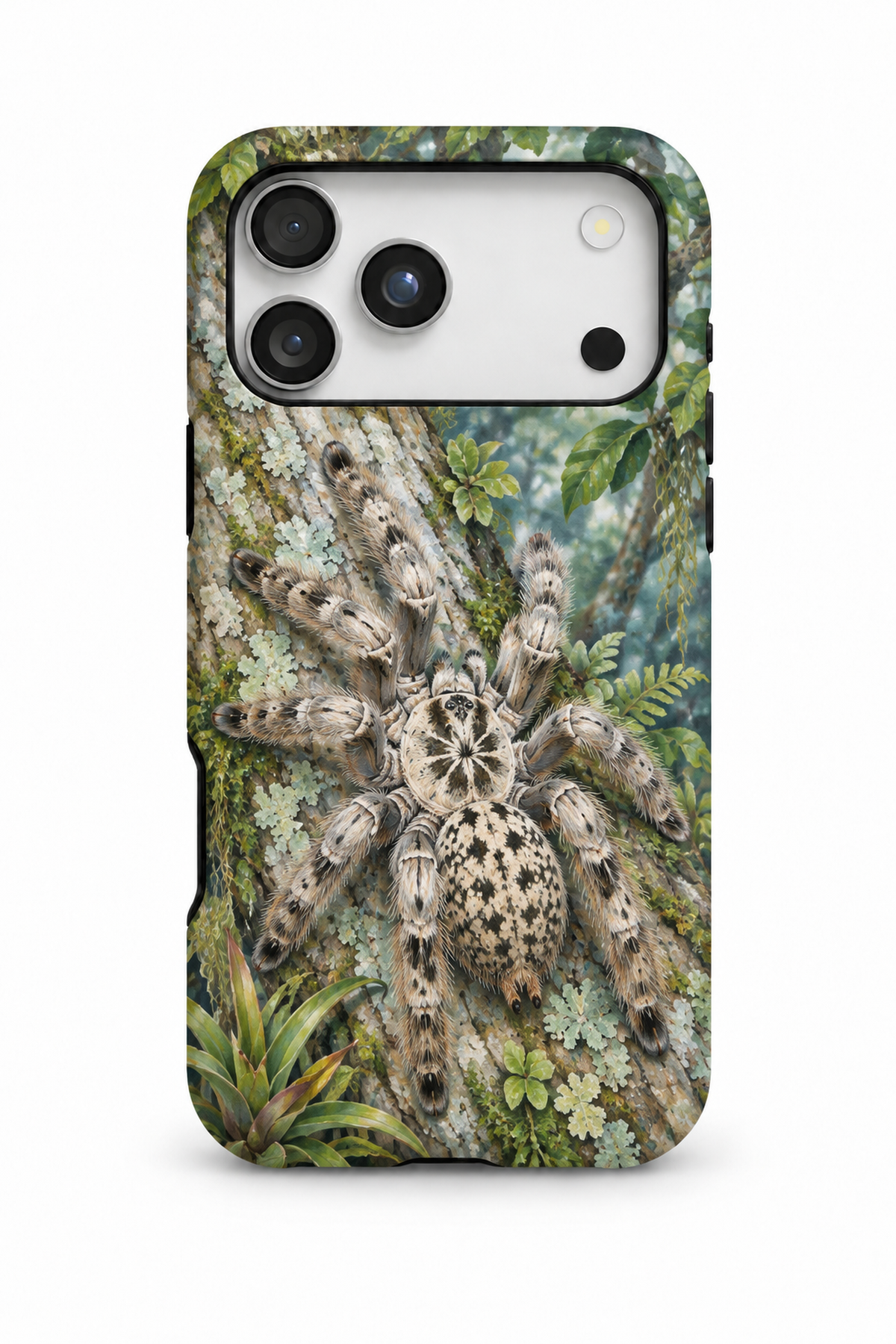 Togo Starburst Baboon - TPC012TR