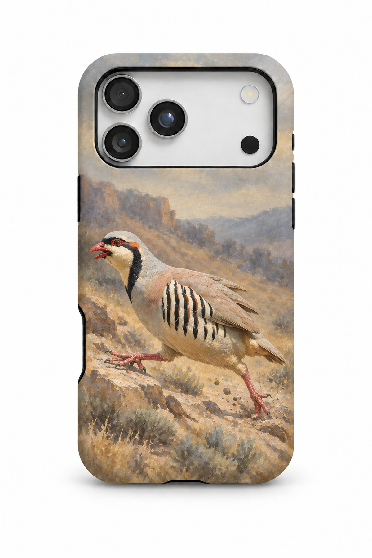 Chukar Canyon Sprint - TPC030U