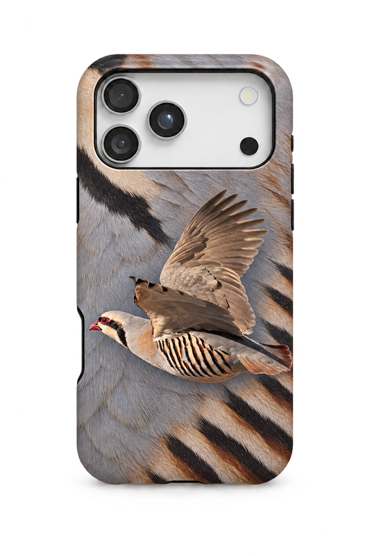Chukar - TPC38SB