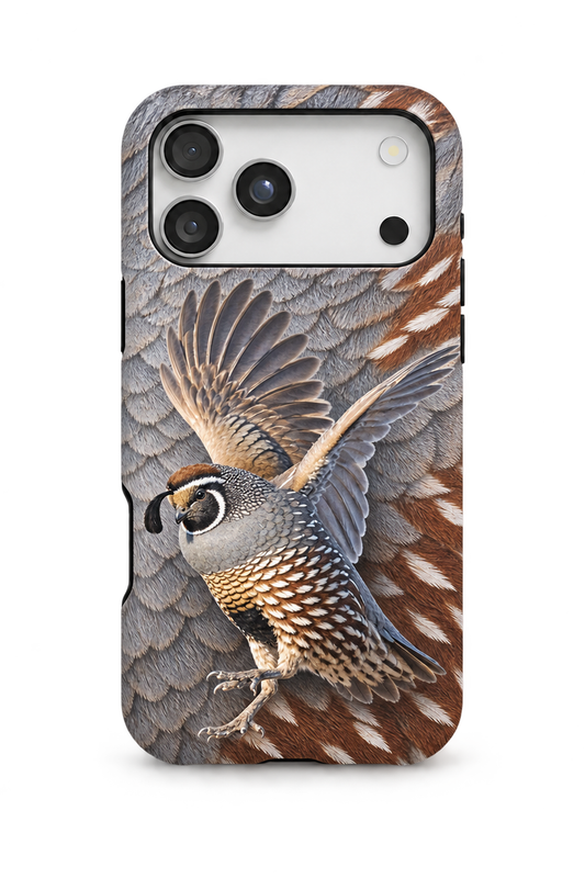 Gambel's Quail - TPC40SB