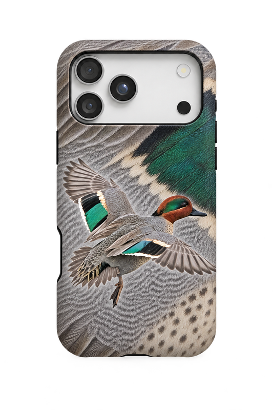Green-winged Teal - TPC41SB