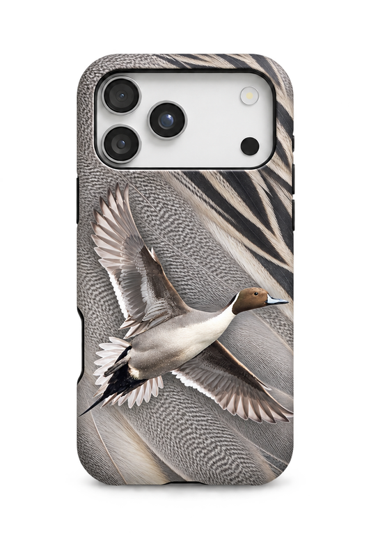 Northern Pintail - TPC45SB