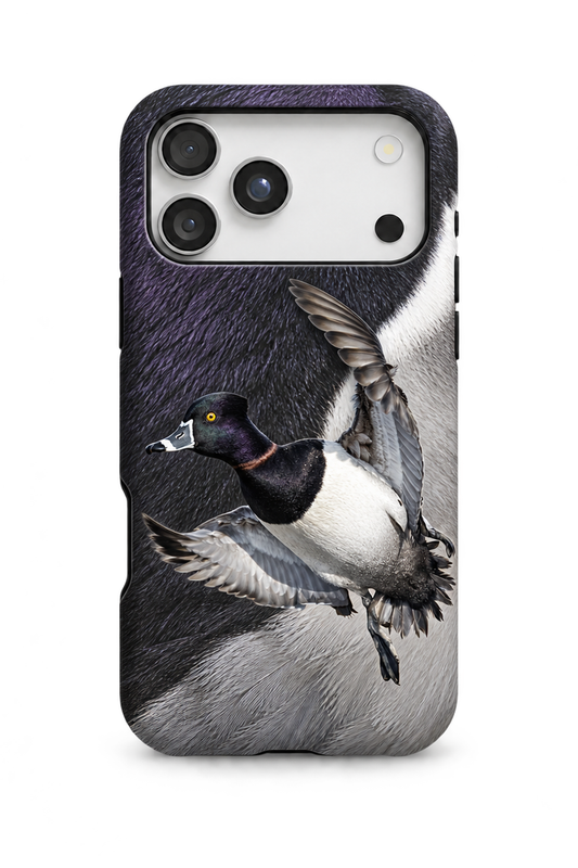 Ring-necked Duck - TPC47SB