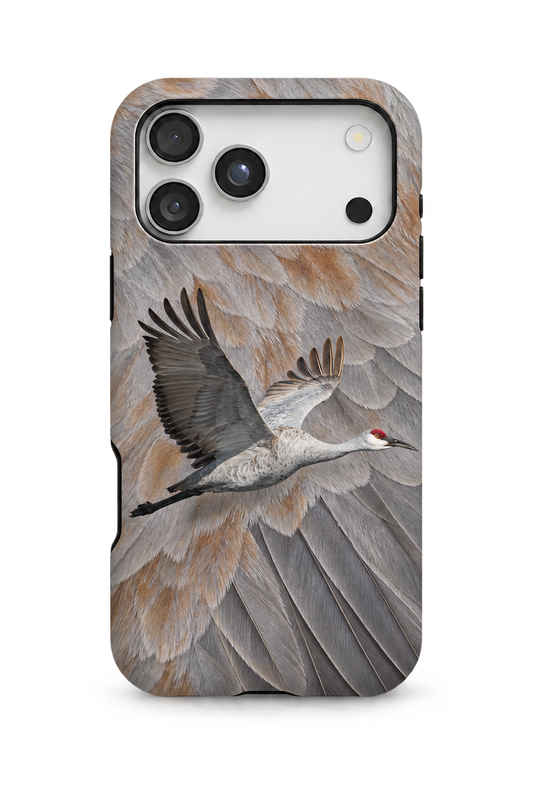 Sandhill Crane - TPC48SB