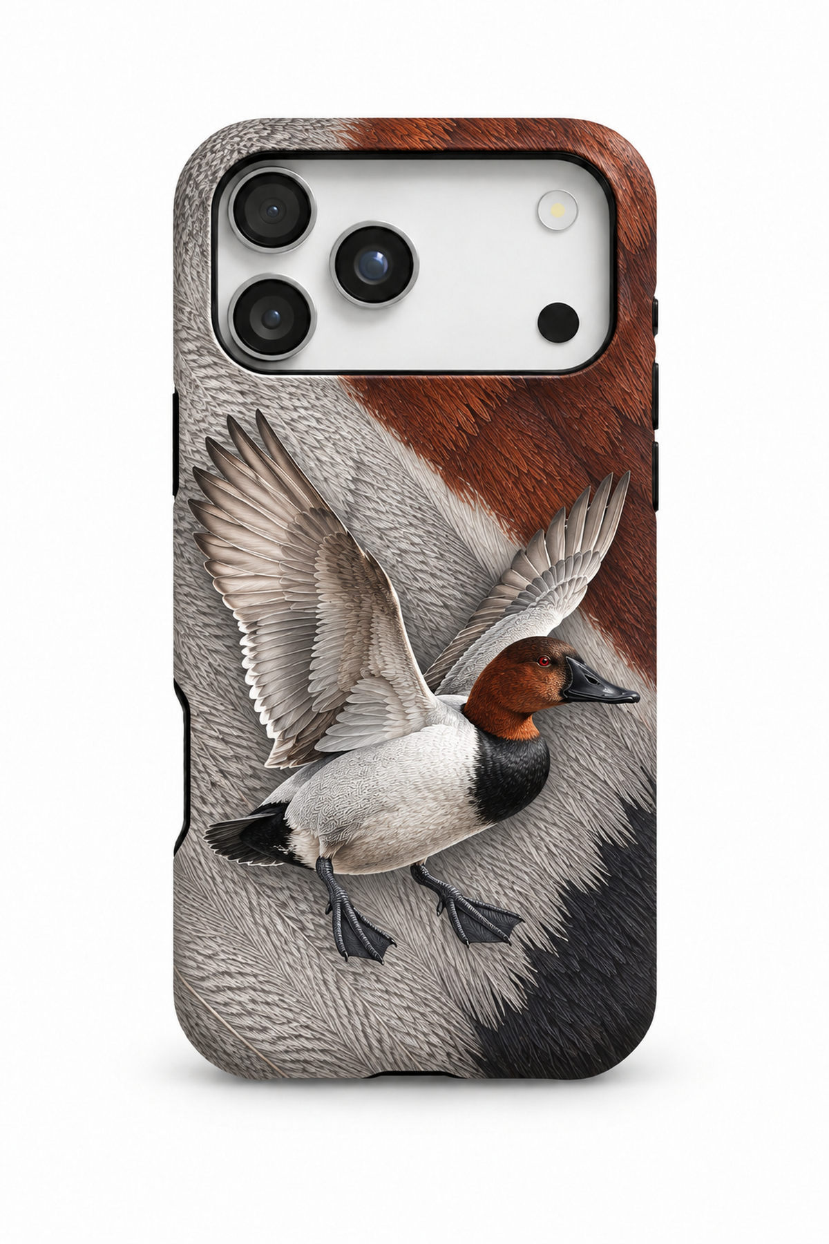 Canvasback - TPC51SB
