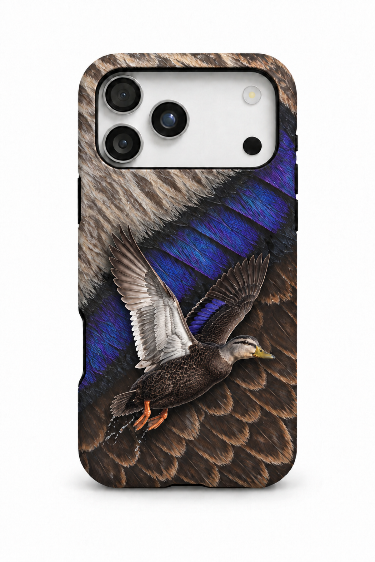 American Black Duck - TPC54SB