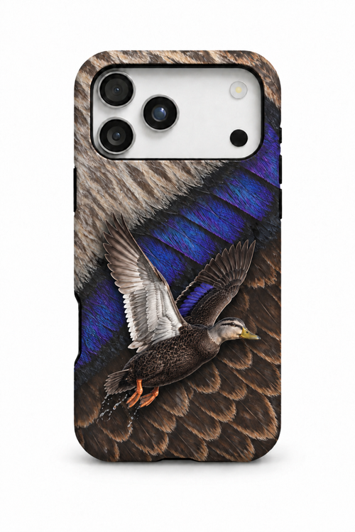 American Black Duck - TPC54SB