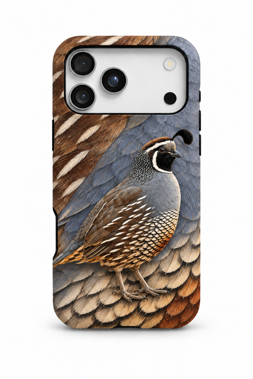 California Quail - TPC56SB