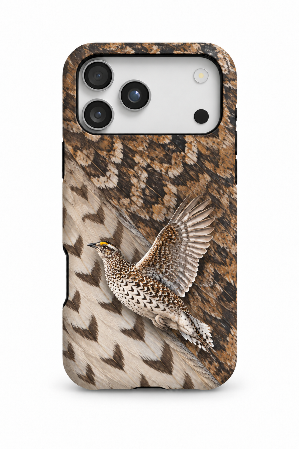 Sharp-tailed Grouse - TPC57SB