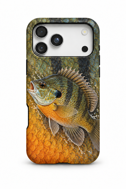 Bluegill - TPC60SB