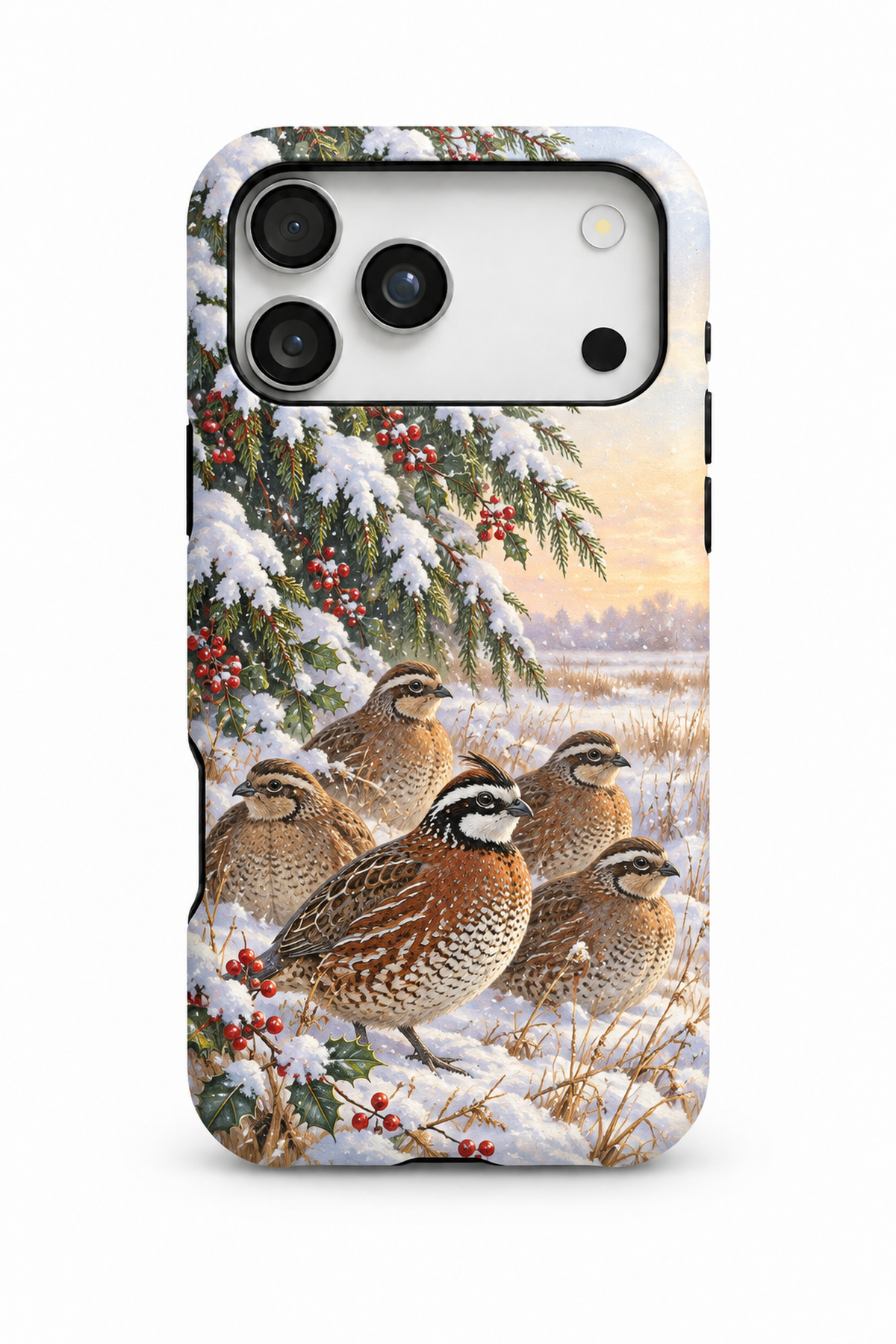 Bobwhite Covey Cedar Snow - TPC05XM