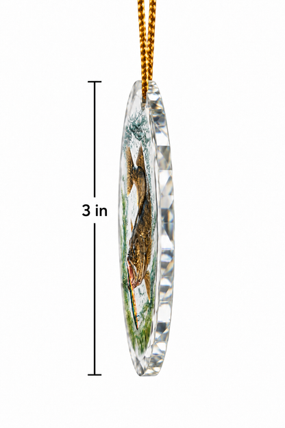 Cold Teal Walleye - Glass Ornament