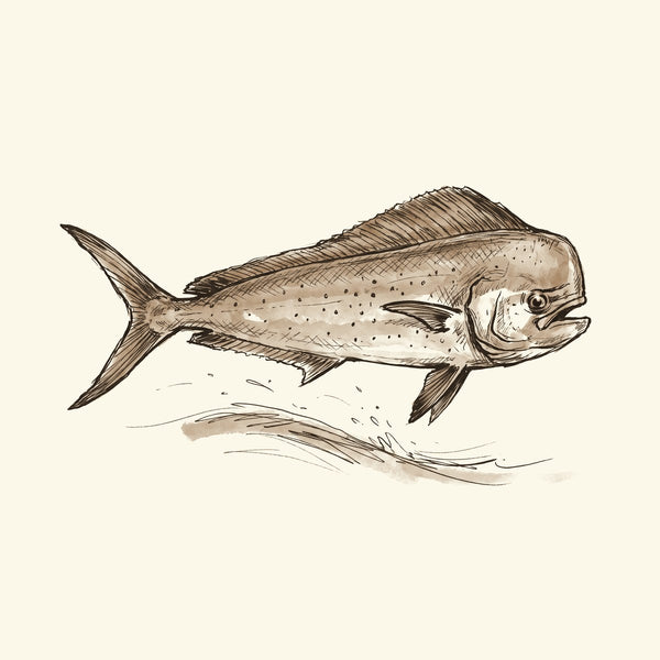 Ink drawing: Offshore