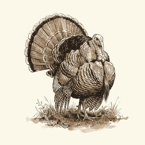 Turkey